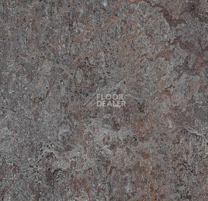 Линолеум Forbo Marmoleum Marbled Vivace 3421-342135 oyster mountain фото 1 | FLOORDEALER